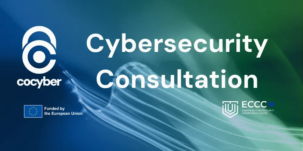 Cybersecurity consultation June 2025